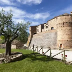 Arcevia cosa vedere: un borgo medievale con un imponente castello, ulivo secolare e dolci colline marchigiane.