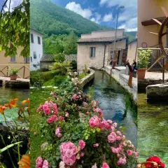 A picturesque village with a clear stream flowing through it, lined with flowers and old buildings.