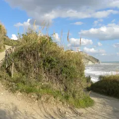 Sentiero sterrato con staccionata in legno, vegetazione rigogliosa e mare mosso. La mezzavalle discesa conduce verso la costa rocciosa.