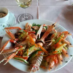 Un piatto di scampi e gamberi con verdure miste, un bicchiere di vino bianco e salse, un'ottima cena al conte Max Monte Roberto.