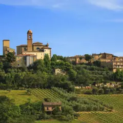 Borgo collinare nelle Marche, con vigneti e uliveti che scendono dolcemente verso la valle. Un panorama che invita a una sosta, un vero fermo immagine di bellezza.