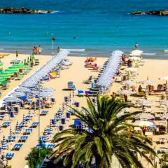 San Benedetto del Tronto: un'ampia spiaggia dorata con file ordinate di ombrelloni verdi e bianchi, lettini e palme. Il mare pulito invita al relax.