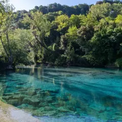 Acque cristalline del narni lago, circondato da una rigogliosa vegetazione verdeggiante.