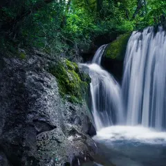 Cascate nelle Marche, un'oasi di pace tra rocce muschiose e vegetazione rigogliosa. L'acqua scende impetuosa, creando un velo bianco e setoso.