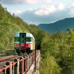 Treno d'epoca attraversa un viadotto immerso nel verde, tra Fabriano e Ancona, dirigendosi verso un tunnel tra le montagne.