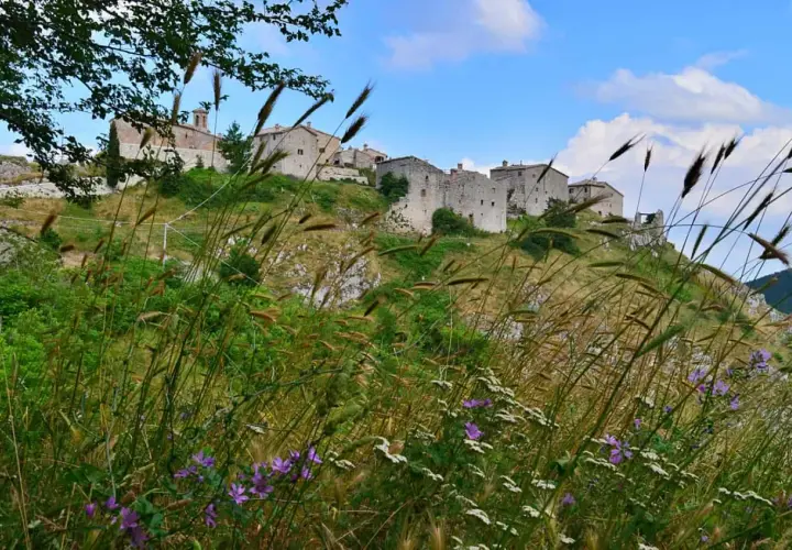 Borgo antico sui colli marchigiani, con case in pietra e vegetazione rigogliosa. Un paesaggio da cartolina, un vero gioiello dell'elcito Marche.