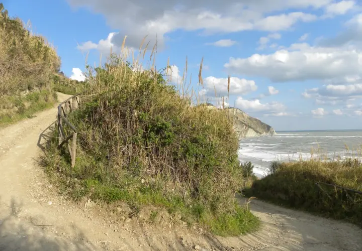 Sentiero sterrato con staccionata in legno, vegetazione rigogliosa e mare mosso. La mezzavalle discesa conduce verso la costa rocciosa.