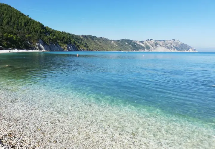 Acque cristalline e ciottoli bianchi a Portonovo, una delle spiagge più belle d'Italia. La costa verdeggiante si tuffa nel mare azzurro.