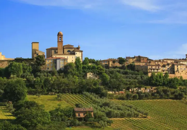 Borgo collinare nelle Marche, con vigneti e uliveti che scendono dolcemente verso la valle. Un panorama che invita a una sosta, un vero fermo immagine di bellezza.