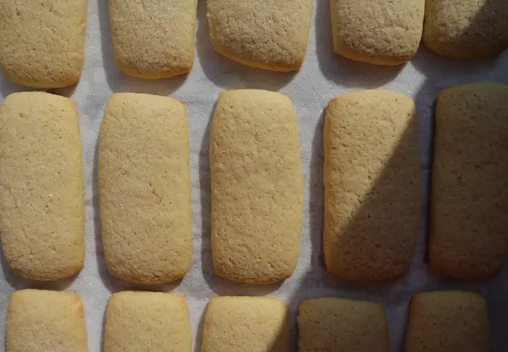 Biscotti con ammoniaca marchigiani, dorati e cosparsi di zucchero, pronti per essere gustati.