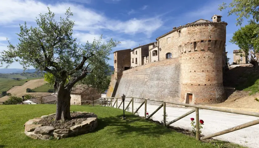 Arcevia cosa vedere: un borgo medievale con un imponente castello, ulivo secolare e dolci colline marchigiane.