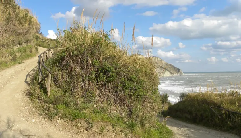 Sentiero sterrato con staccionata in legno, vegetazione rigogliosa e mare mosso. La mezzavalle discesa conduce verso la costa rocciosa.