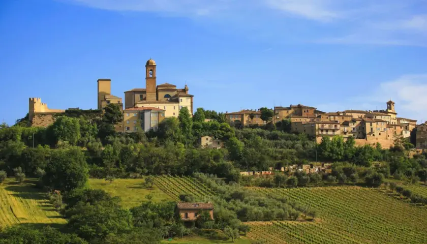 Borgo collinare nelle Marche, con vigneti e uliveti che scendono dolcemente verso la valle. Un panorama che invita a una sosta, un vero fermo immagine di bellezza.