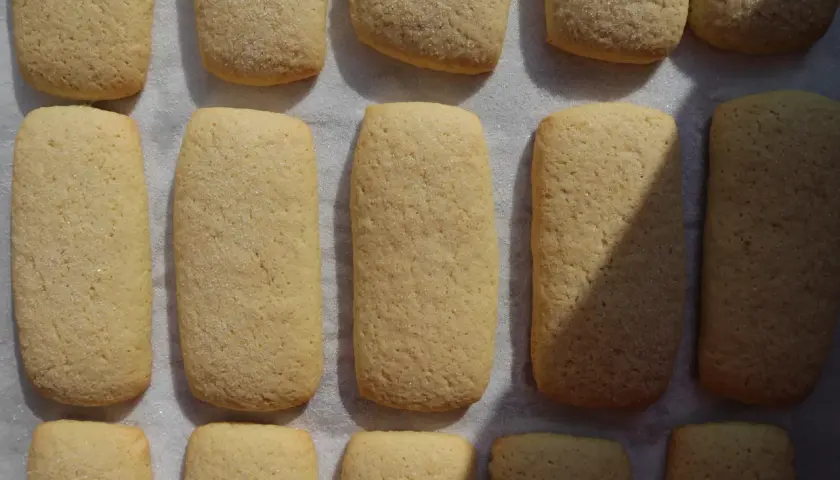 Biscotti con ammoniaca marchigiani, dorati e cosparsi di zucchero, pronti per essere gustati.