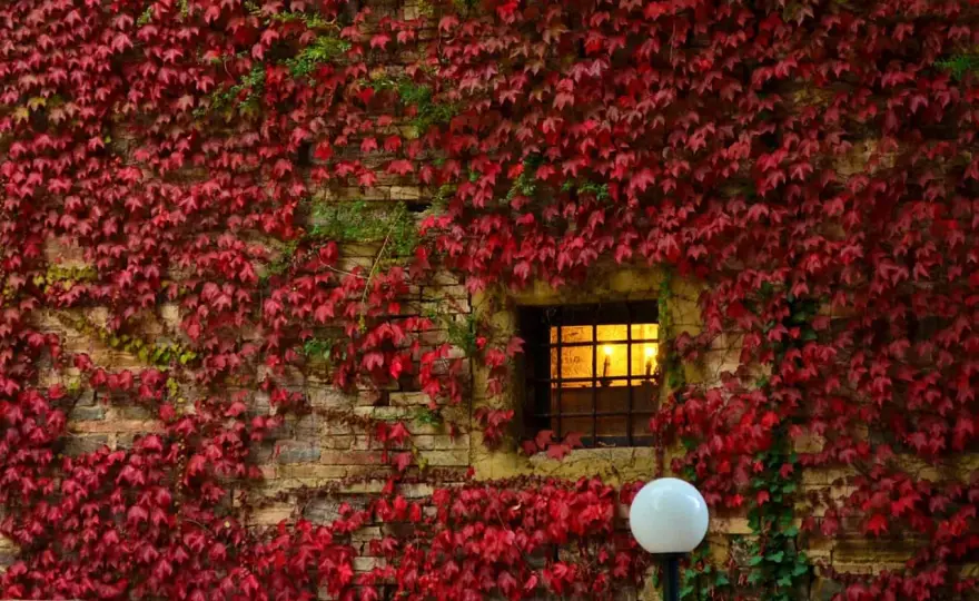 Foliage Marche - Scopri i colori migliori e i luoghi segreti