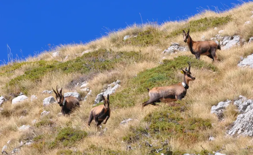 Norcia e Sibillini - Guida completa per un viaggio sensato