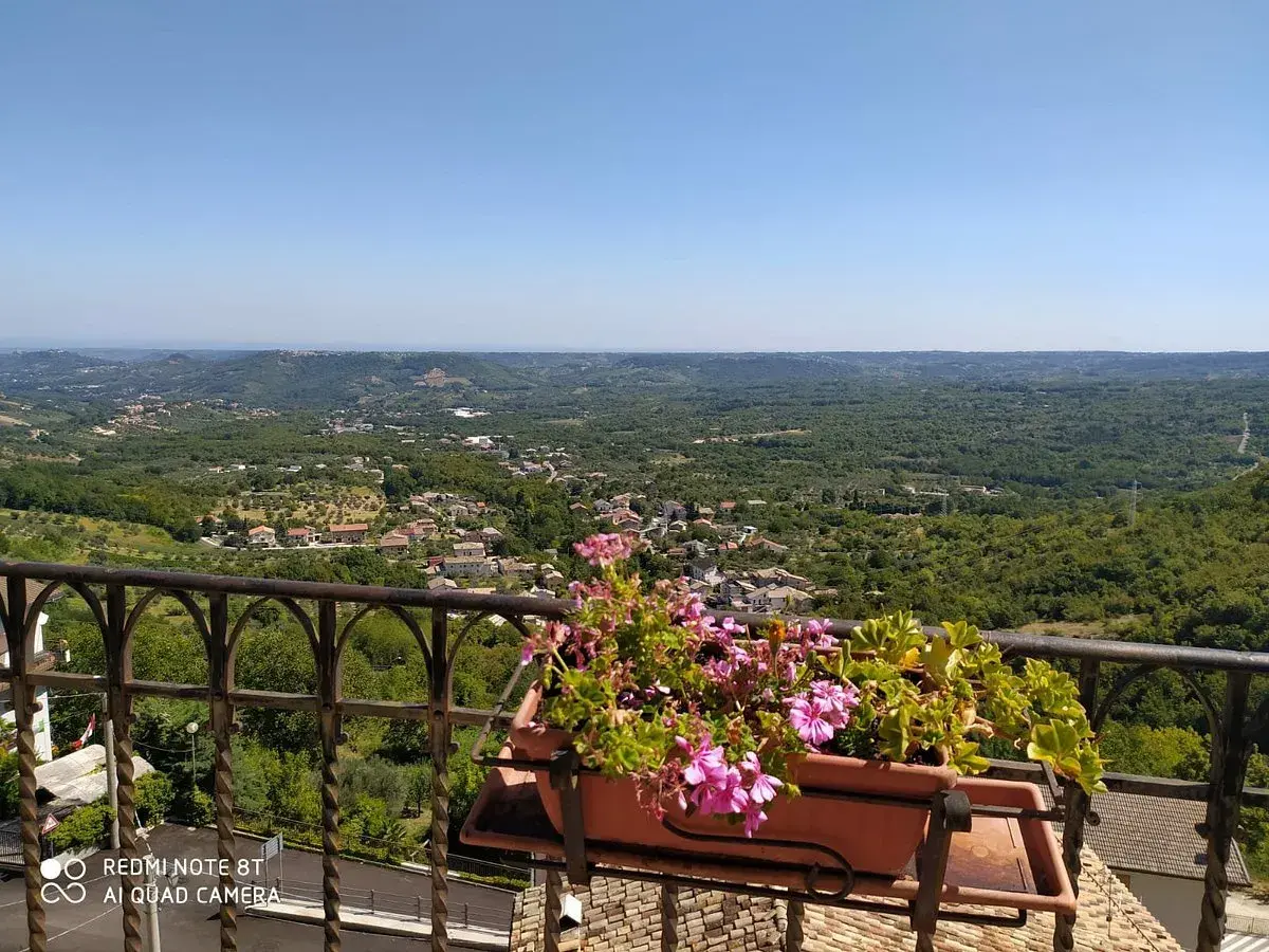 Vista panoramica su un borgo tra colline verdi. Un balcone fiorito offre un'ottima prospettiva su cosa vedere a Pretoro.