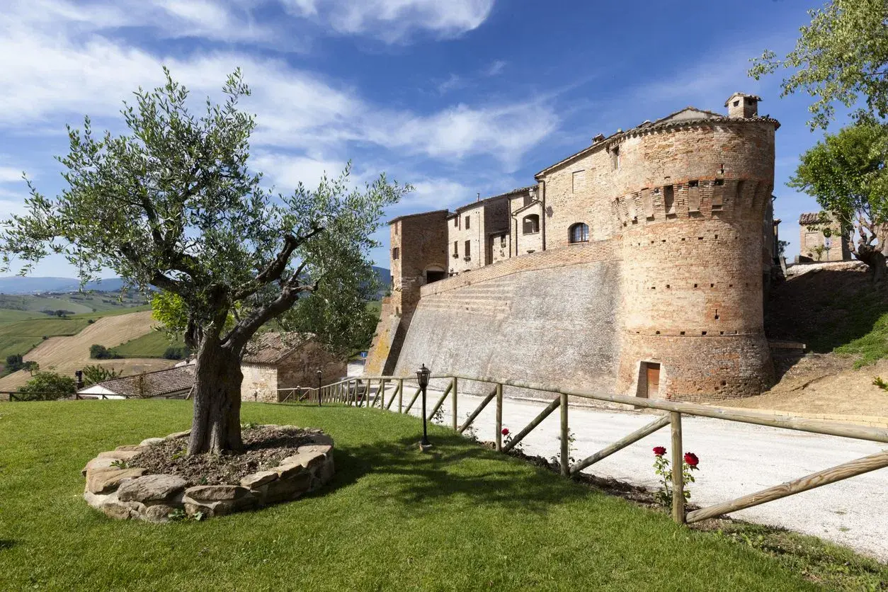 Arcevia cosa vedere: un borgo medievale con un imponente castello, ulivo secolare e dolci colline marchigiane.