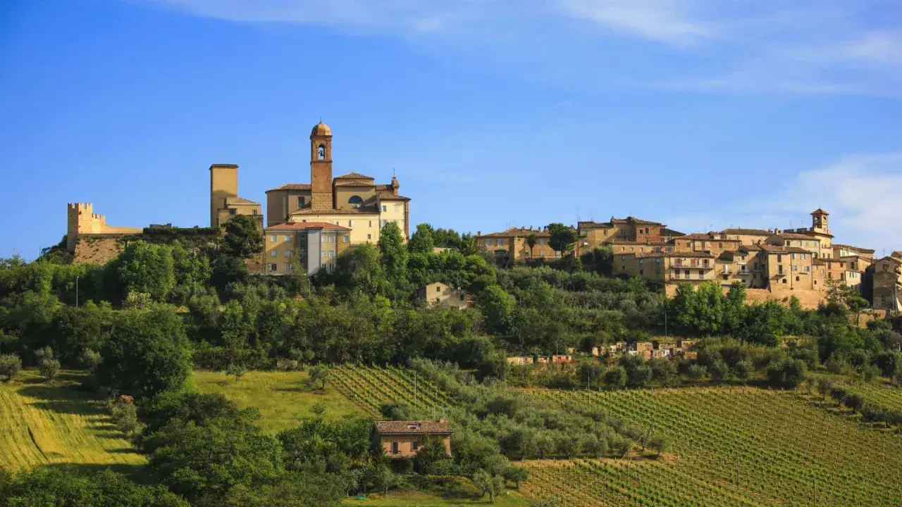 Borgo collinare nelle Marche, con vigneti e uliveti che scendono dolcemente verso la valle. Un panorama che invita a una sosta, un vero fermo immagine di bellezza.