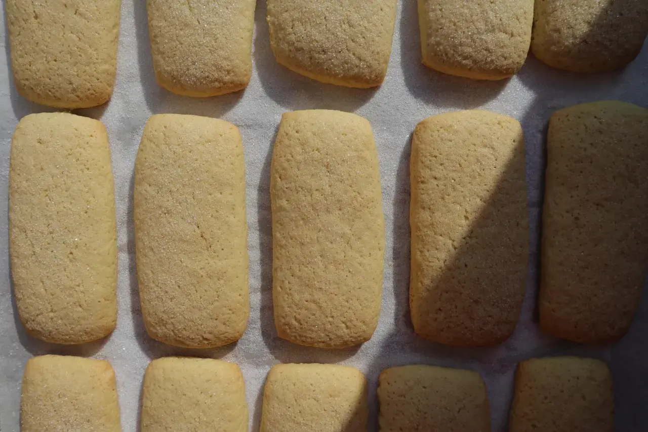 Biscotti con ammoniaca marchigiani, dorati e cosparsi di zucchero, pronti per essere gustati.