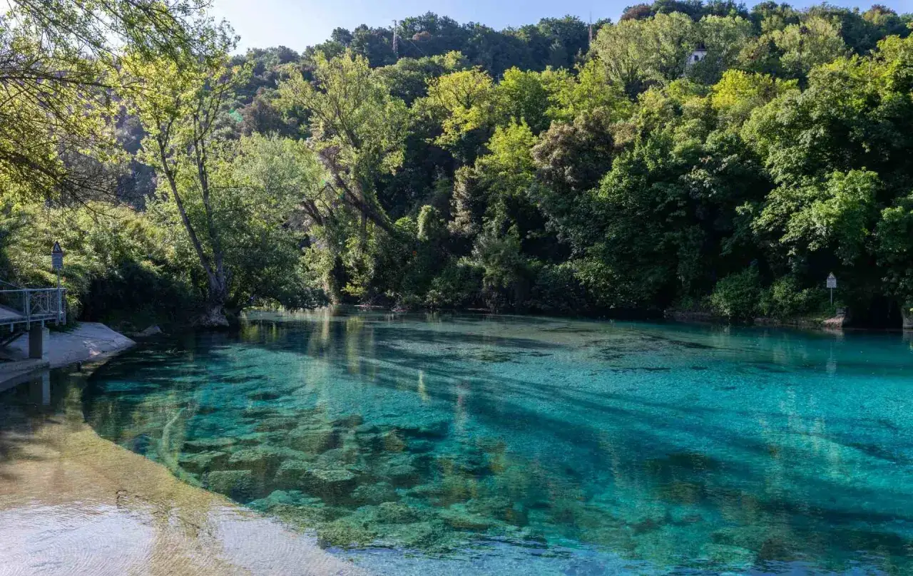 Acque cristalline del narni lago, circondato da una rigogliosa vegetazione verdeggiante.