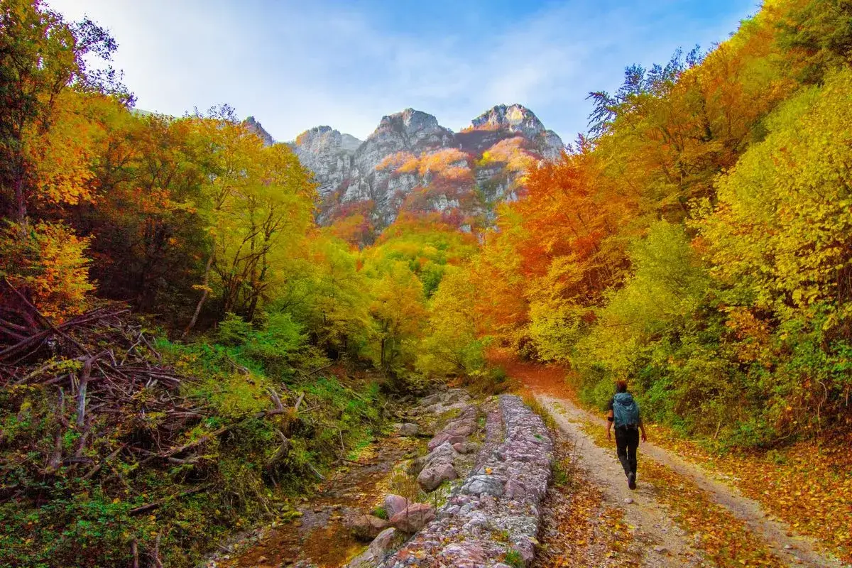 Trekking 3 giorni Monti Sibillini: un escursionista cammina su un sentiero tra boschi autunnali dai colori vivaci, con montagne imponenti sullo sfondo.