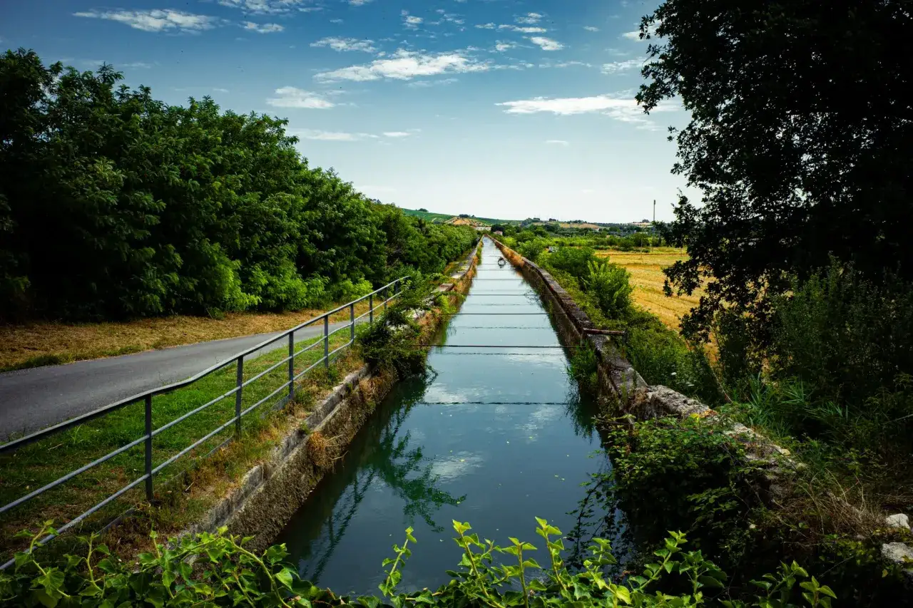 Pista ciclabile Jesi: un canale d'acqua serpeggia tra la vegetazione lussureggiante, con un sentiero asfaltato a fianco.