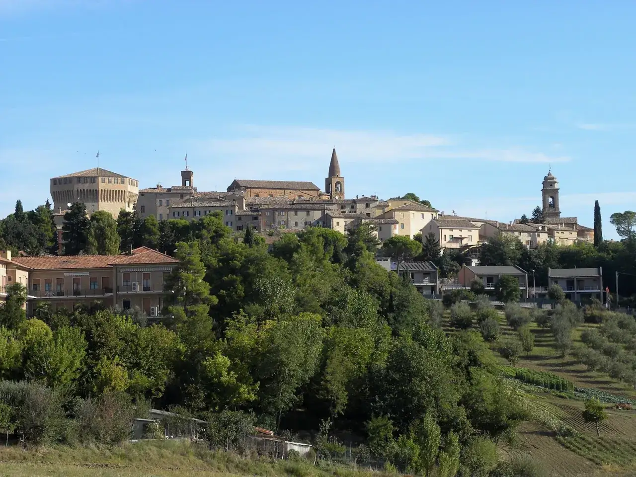 Panoramica di Mondavio, cosa vedere: il castello, le chiese e il borgo arroccato tra il verde.